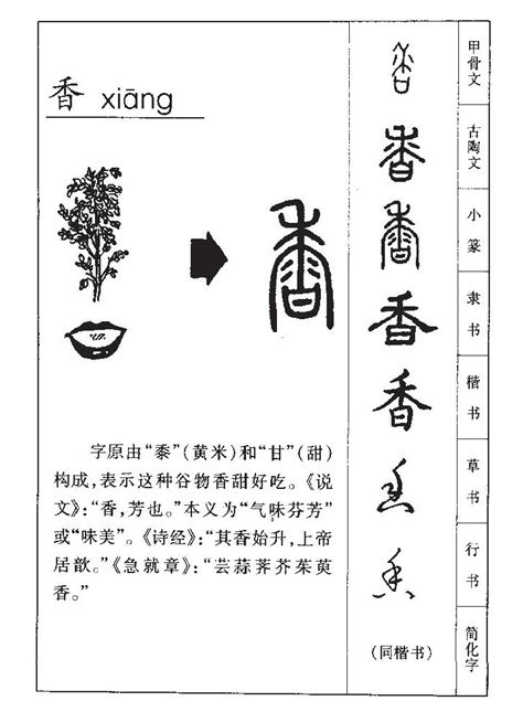 香字五行|香字的五行属什么